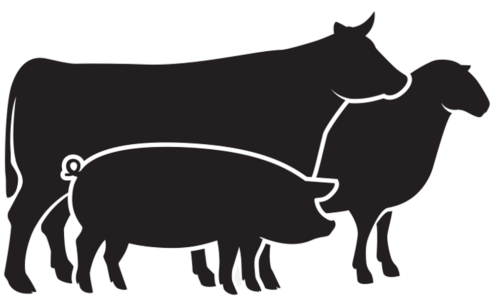 Learn More About Beef, Lamb and Pork Cuts from your Seattle Butcher Shops at Metropolitan Market