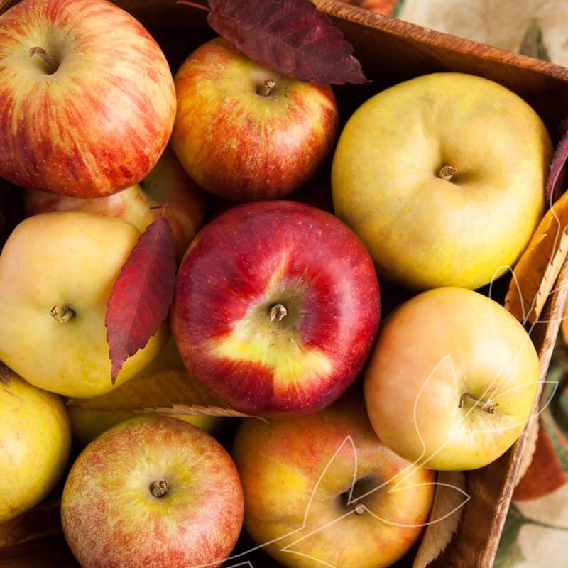 Our fresh Washington apples are grown west of the Cascade Mountains in Whatcom County and found at Metropolitan Market #BestofMet