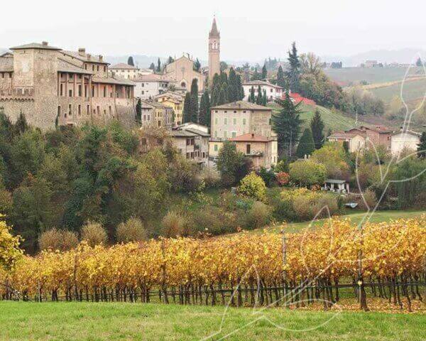 Photo of the Italian countryside.