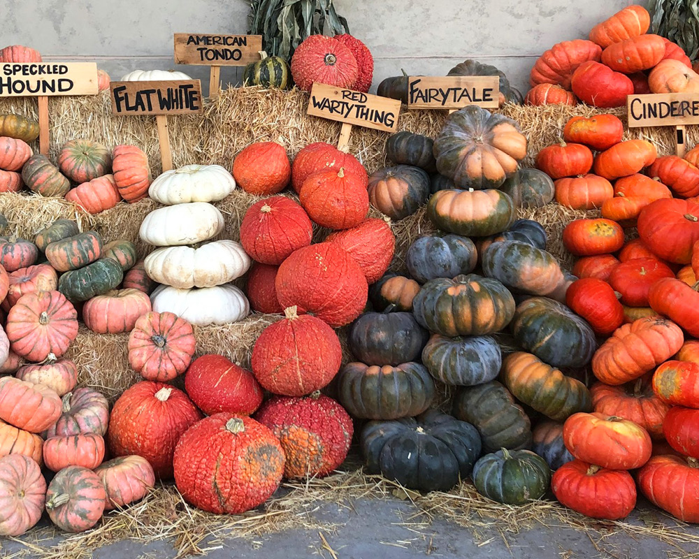 Pumpkin varieties stacked on hay bales