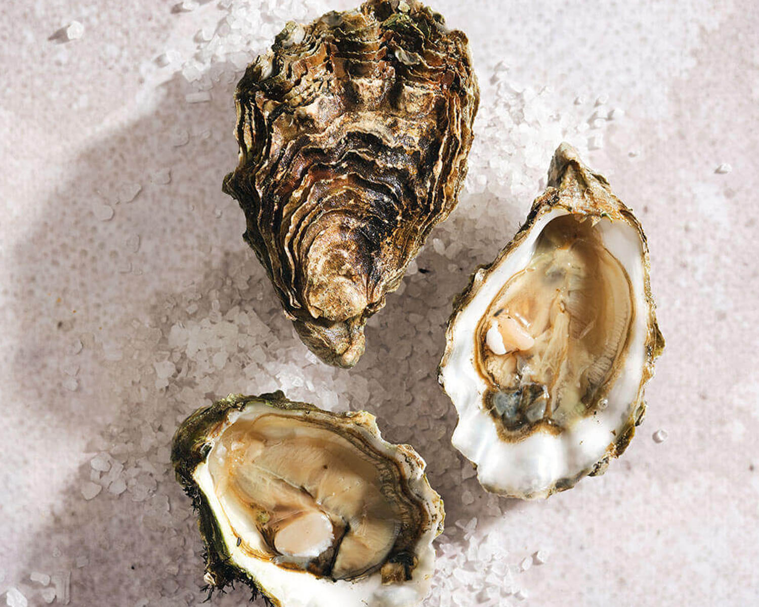 hama hama oysters