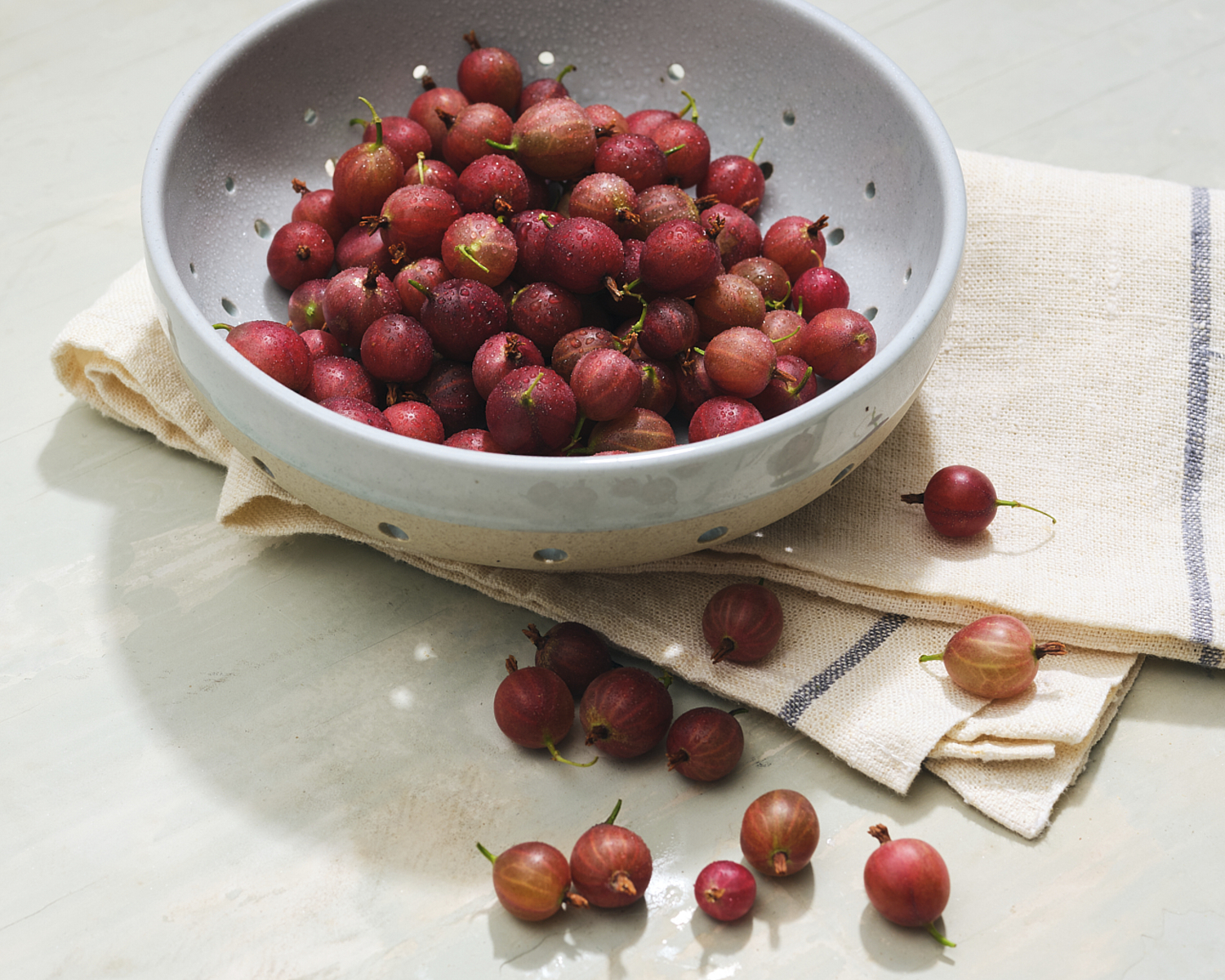 bowl of gooseberries