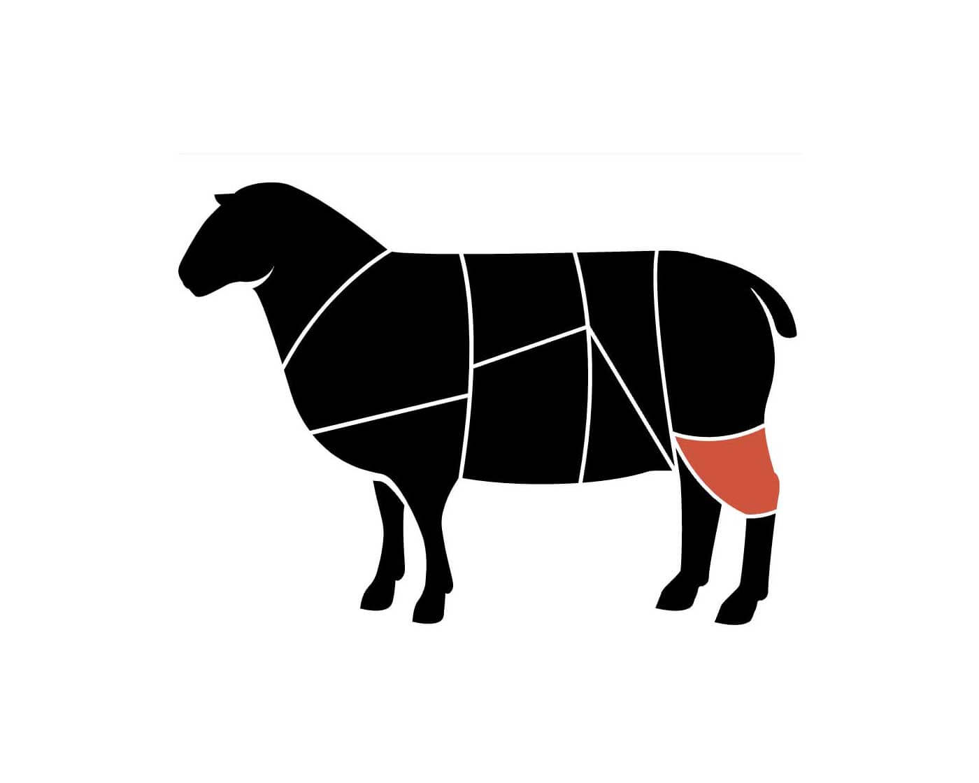 Drawing of a lamb with the hind shank section highlighted.