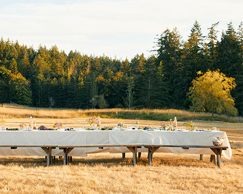 A table covered in a white table cloth in a golden field with trees in the background.