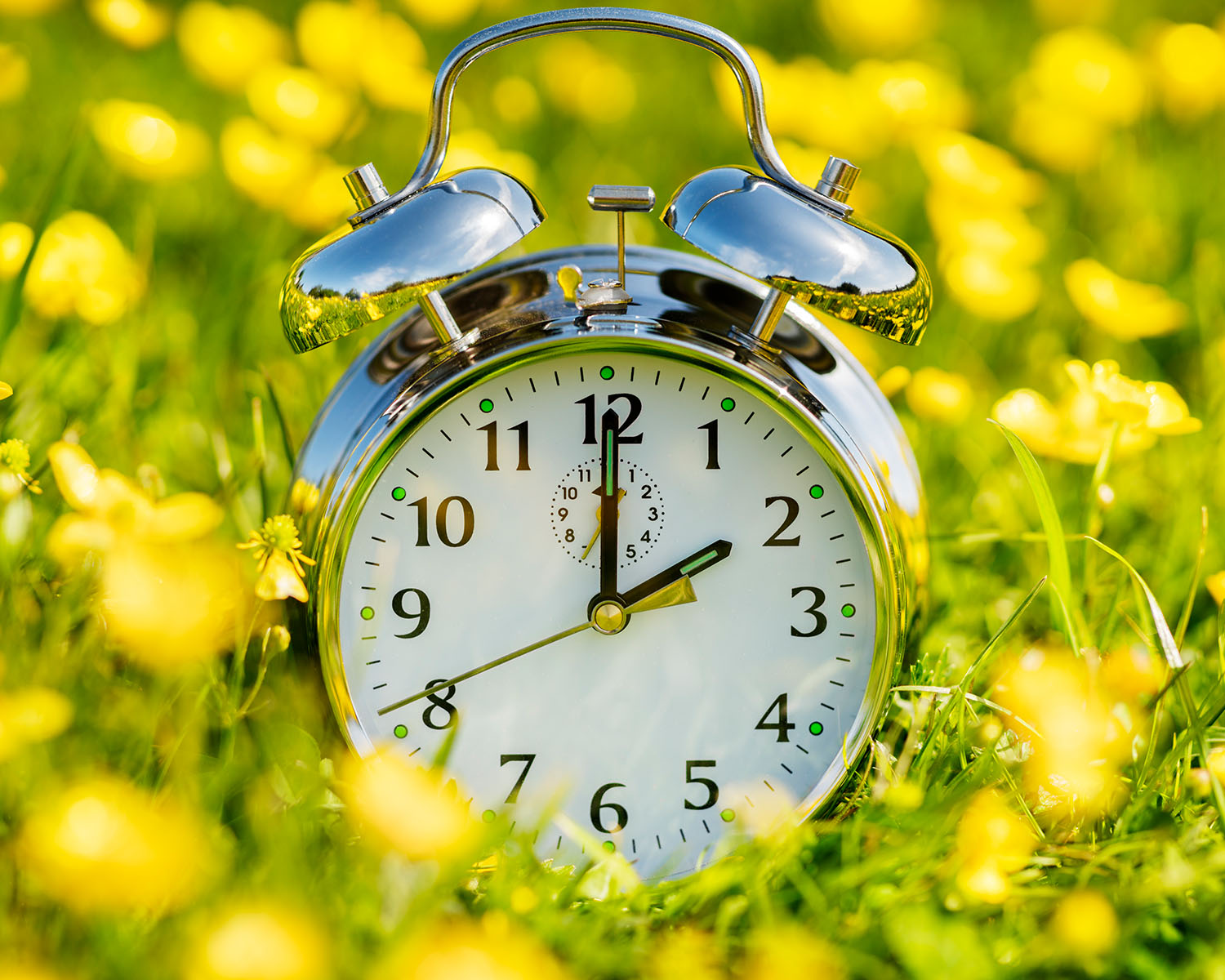 alarm clock in a flower field