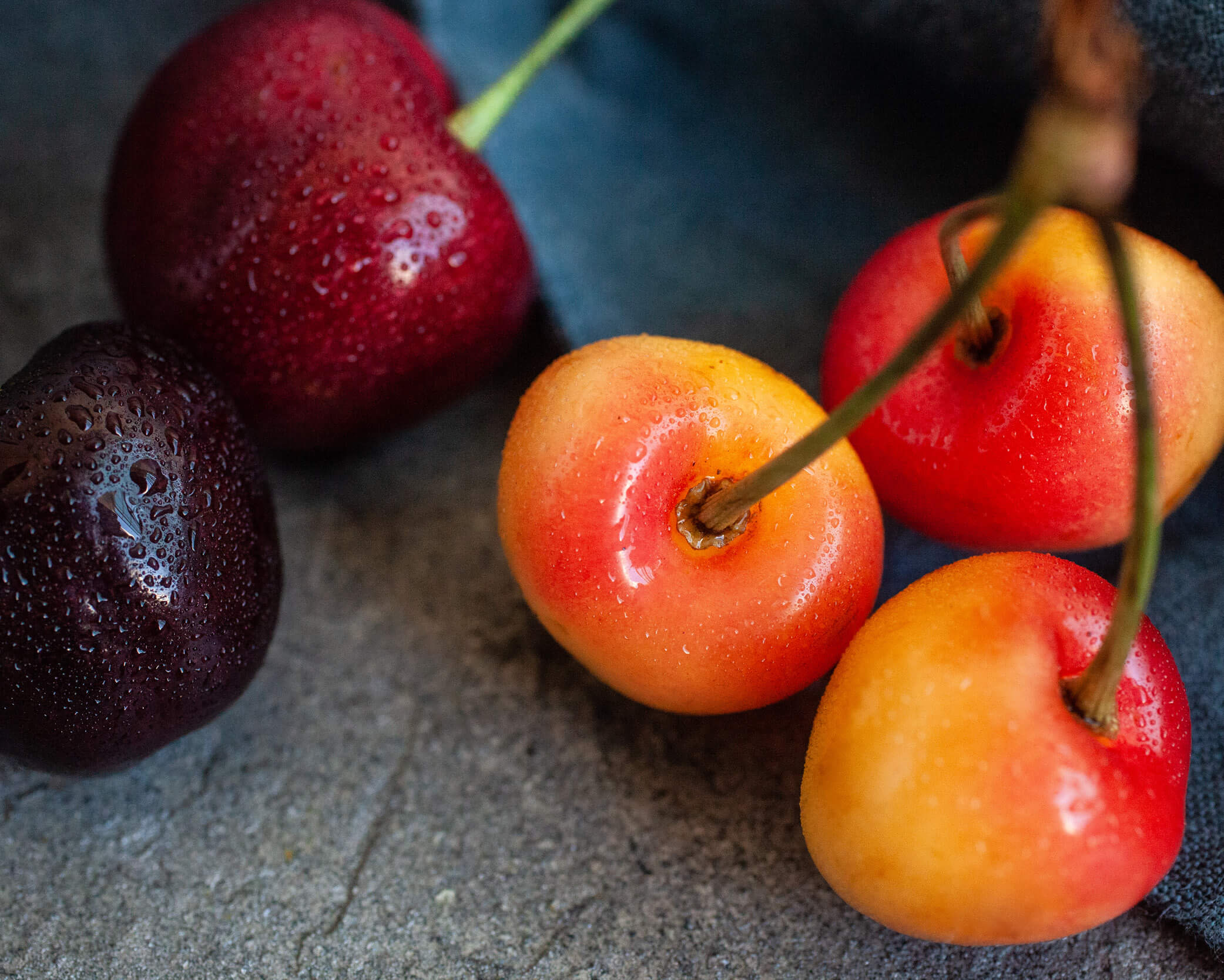 red and rainier cherries on gray background