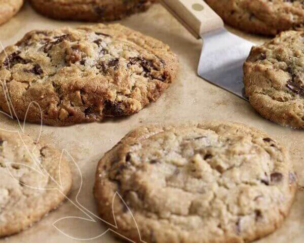 Warm, freshly baked chocolate chip cookies on a cookie sheet.