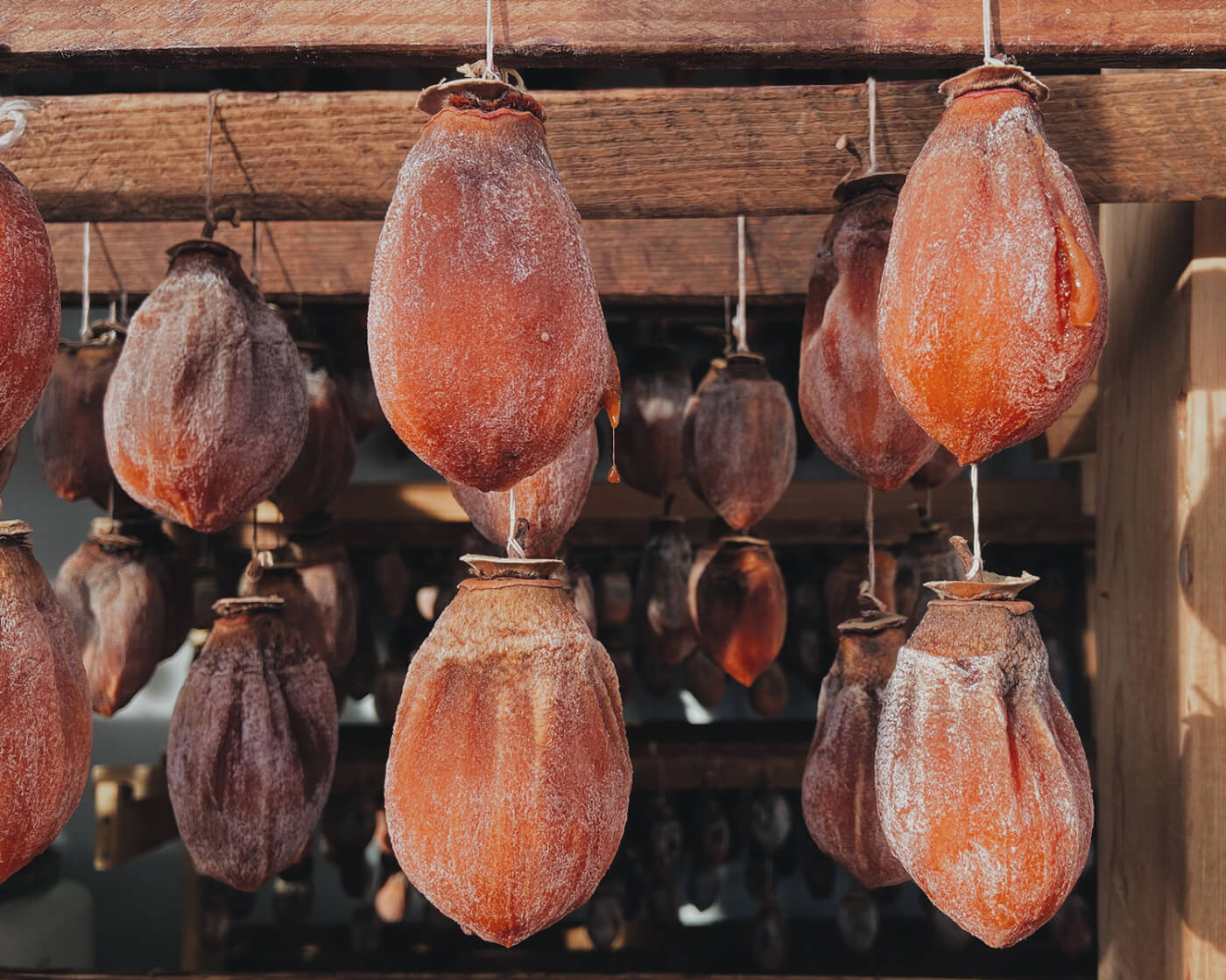 persimmons hanging