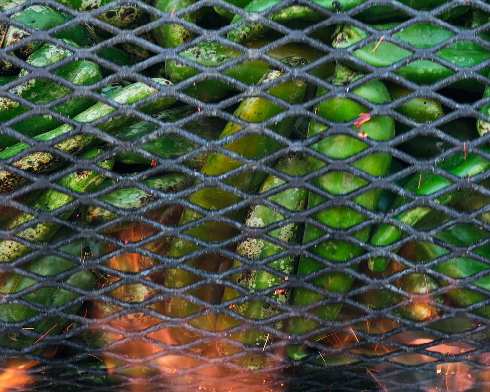 Hatch chiles roasting over flames