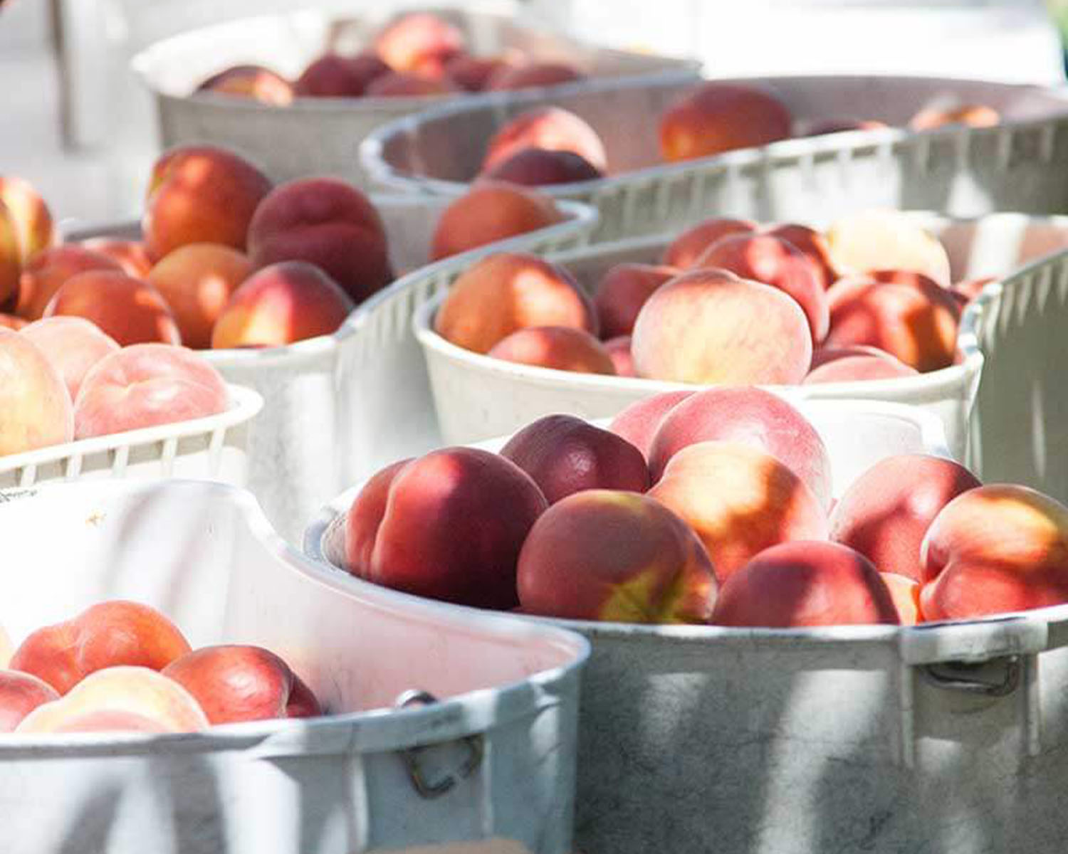 buckets of peaches