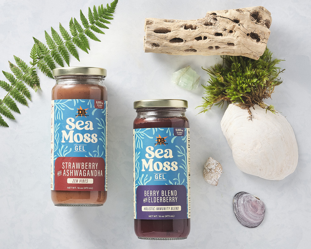 Two jars of sea moss gel with shells, moss, driftwood, and a fern