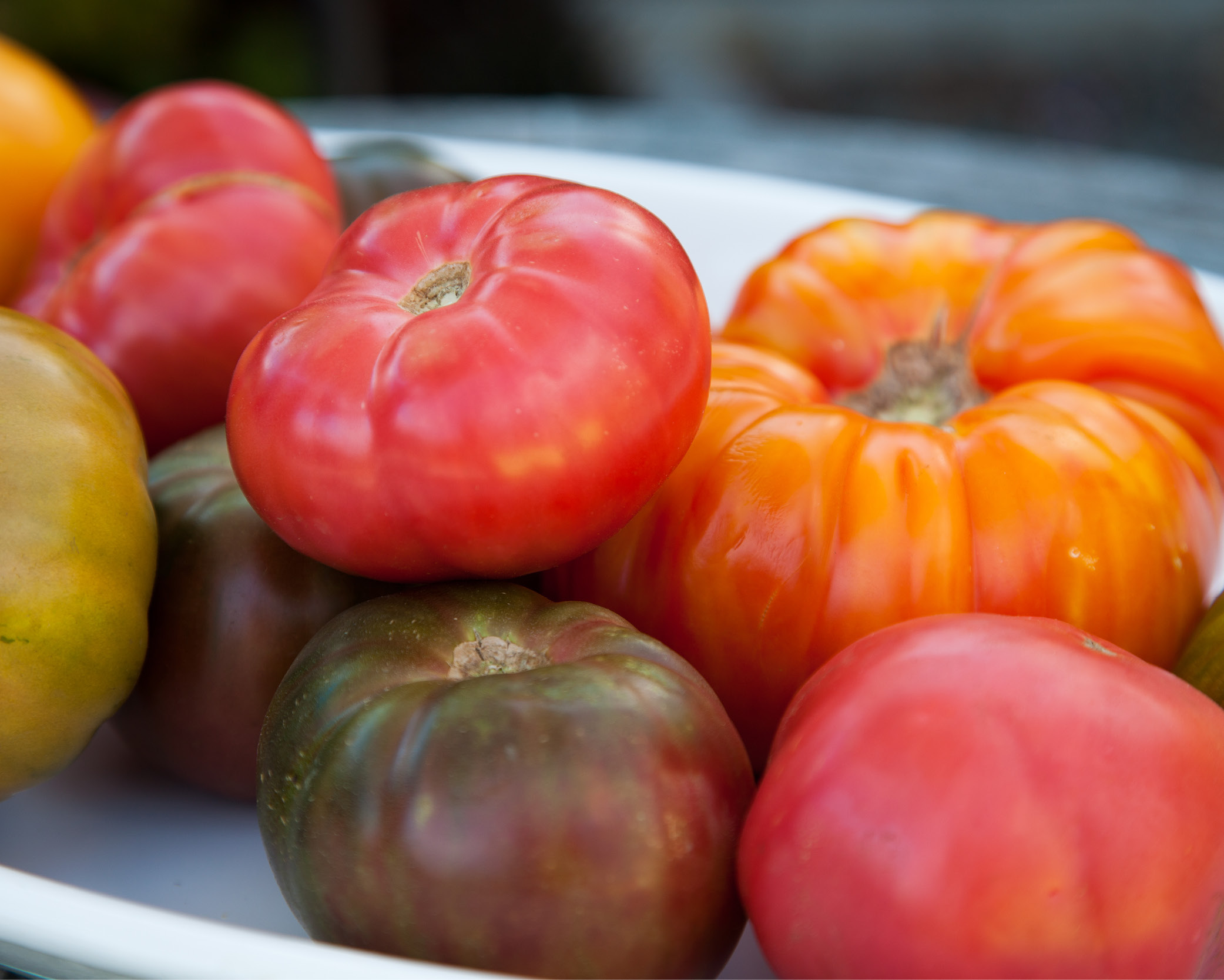 Assortment of heirloom tomatoes