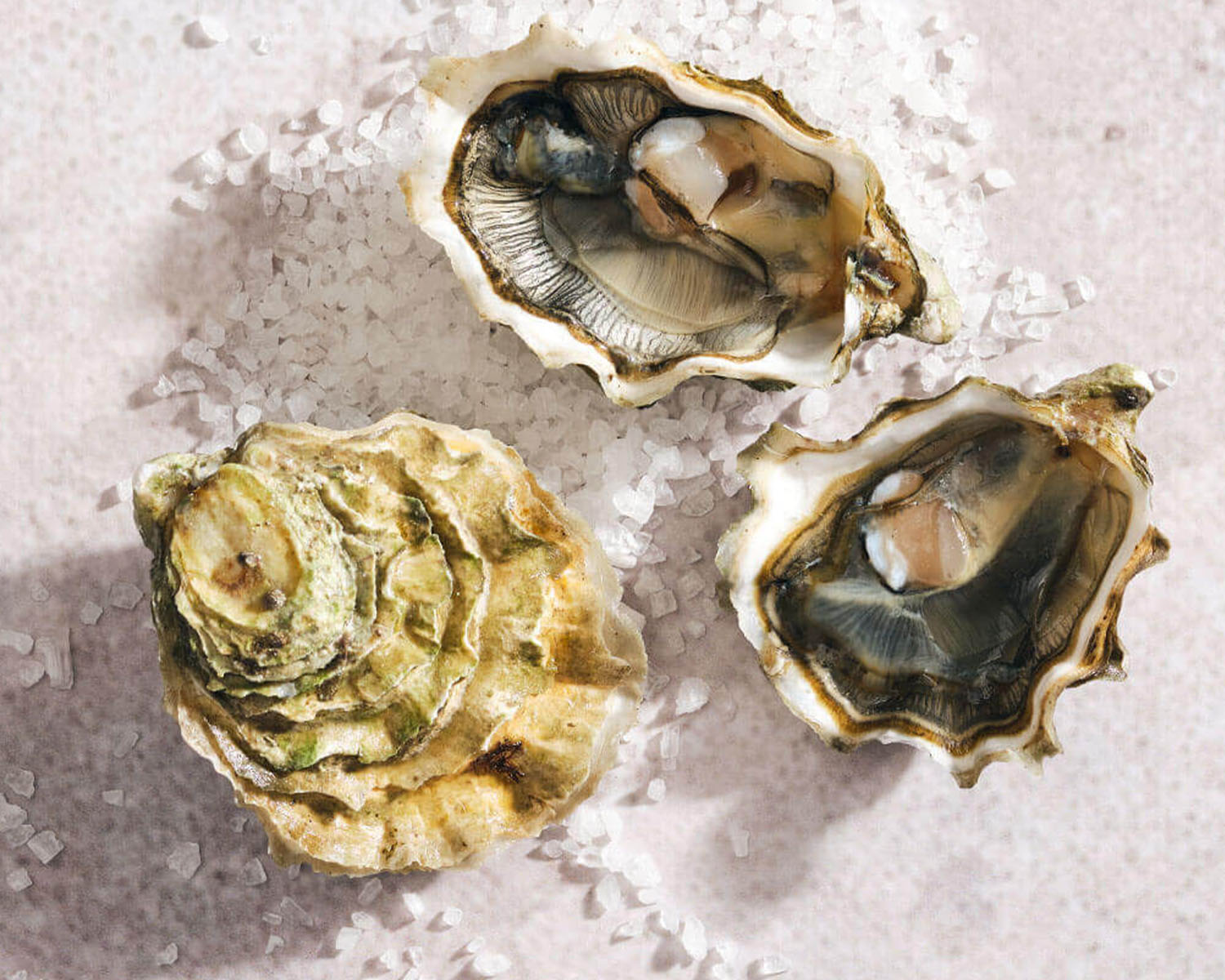 summer stone oysters