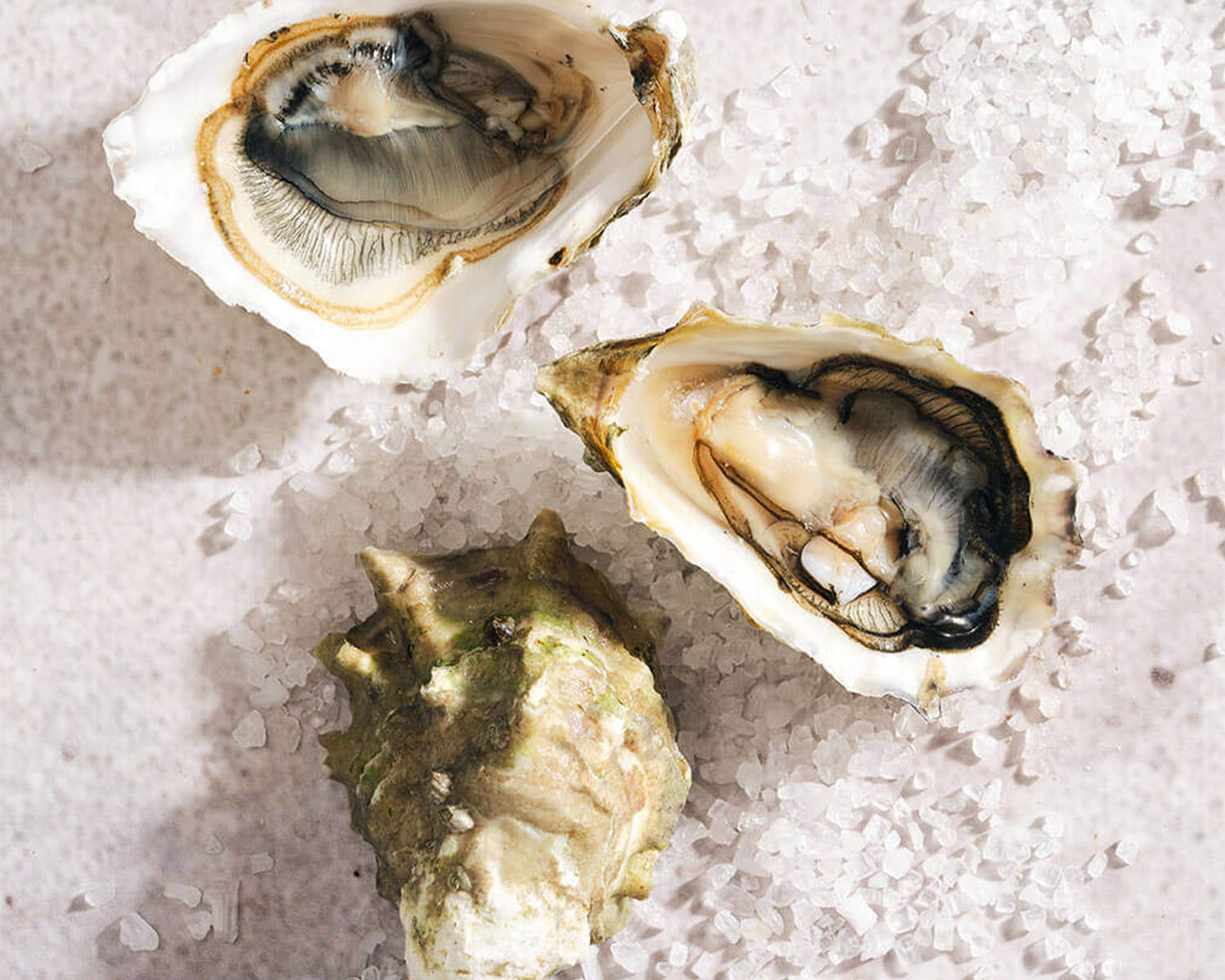 fanny bay oysters