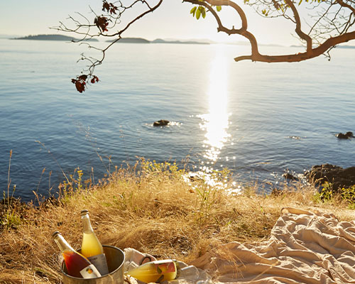 Picnic on a grassy hill next to Puget Sound