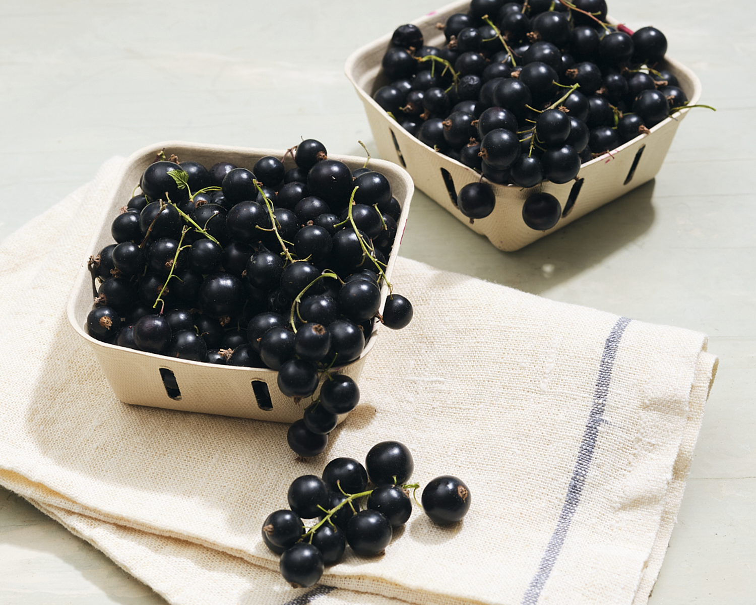 two pints of black currants