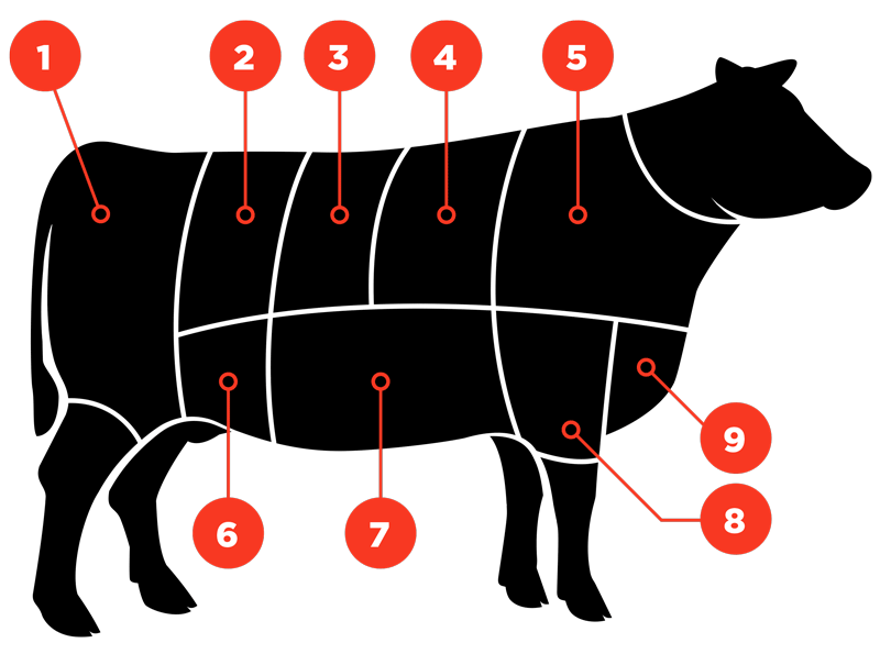 What Part Of The Cow Is The Tri Tip - All About Cow Photos