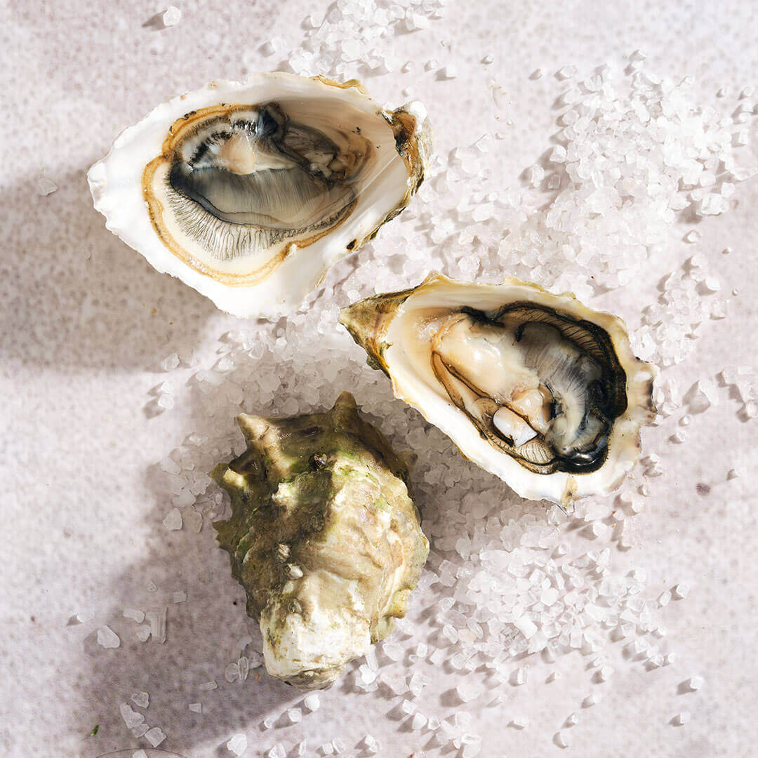 Oysters on the Half Shell, Fanny Bay from Metropolitan Market