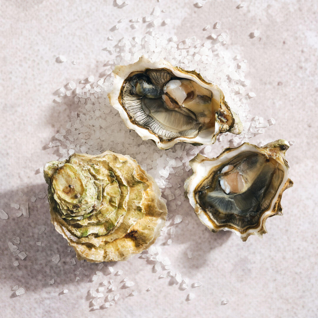 summerstone oysters