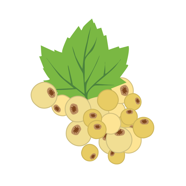 white currant