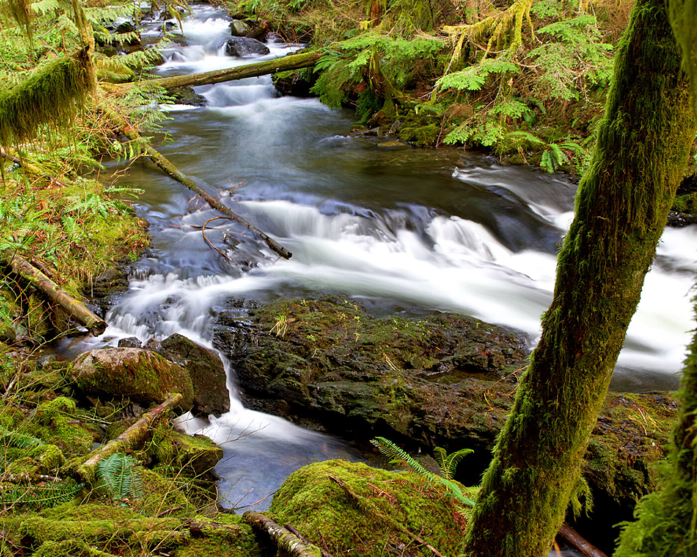 wallace falls