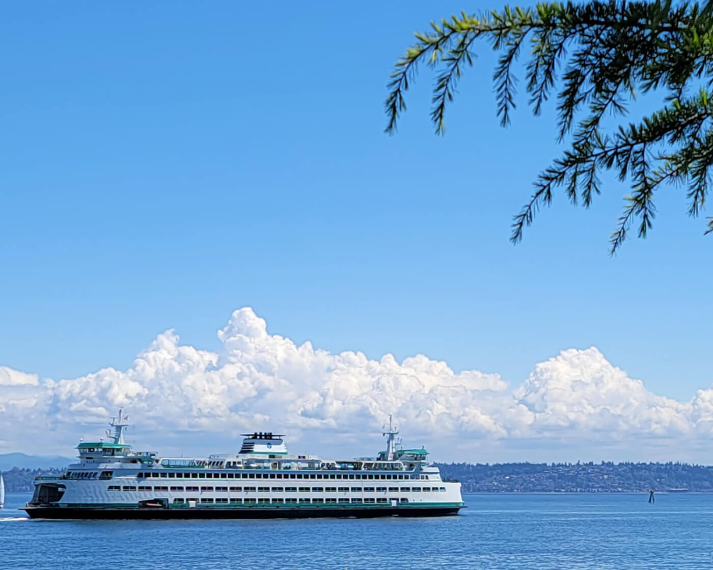 bainbridge ferry