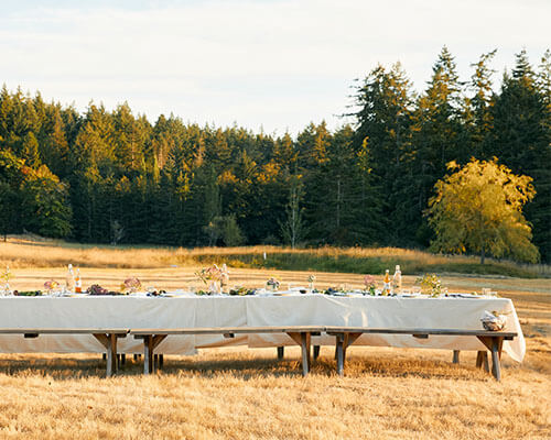 large table prepped for outdoor gathering