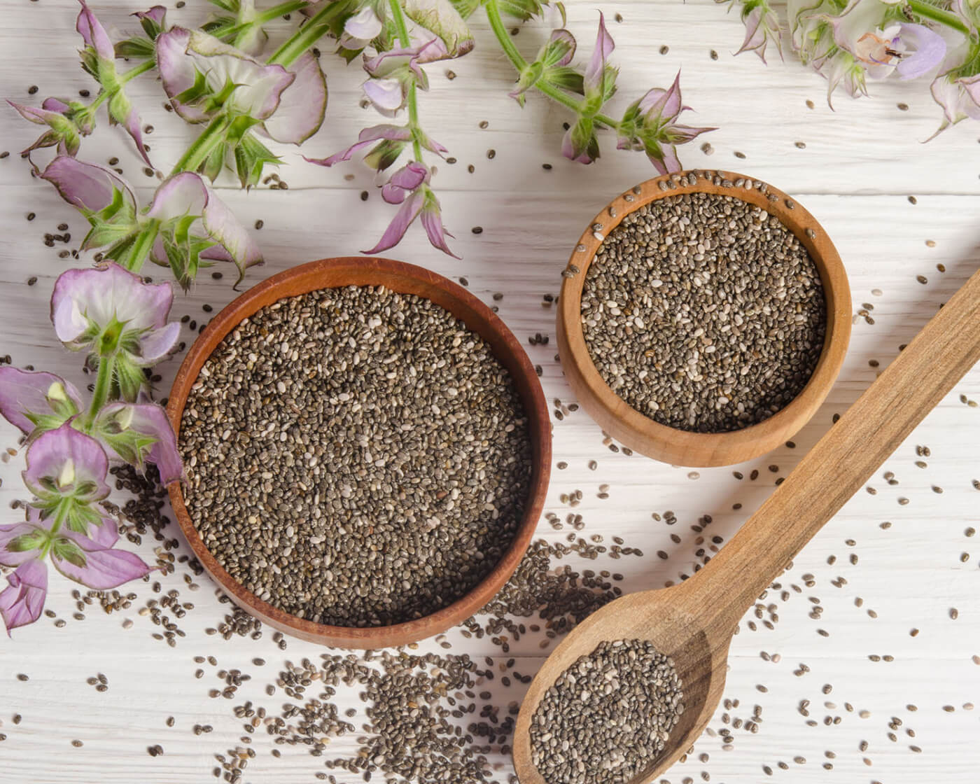 chia seeds plant